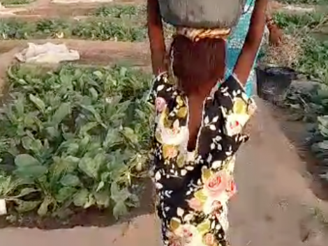 Bildschirmfoto 2025-01-09 um 19.46.39